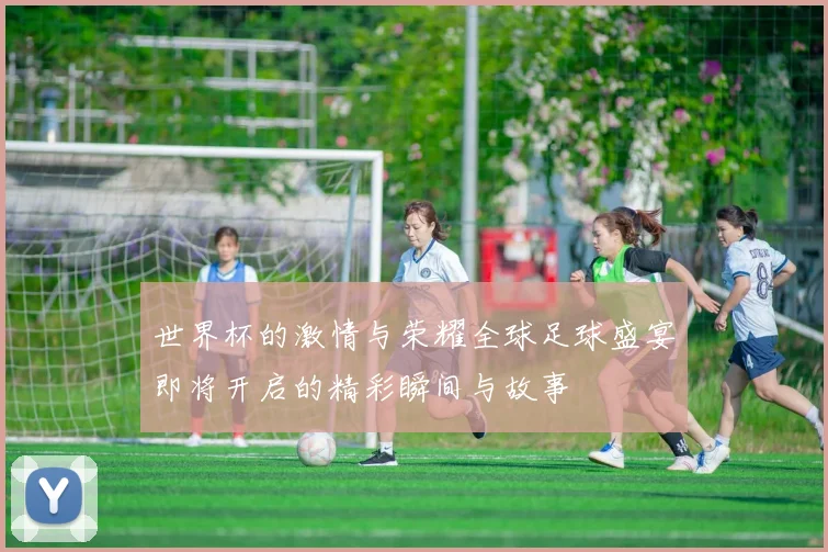 世界杯的激情与荣耀全球足球盛宴即将开启的精彩瞬间与故事